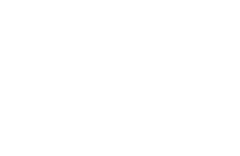 Moose Mountain Lodge